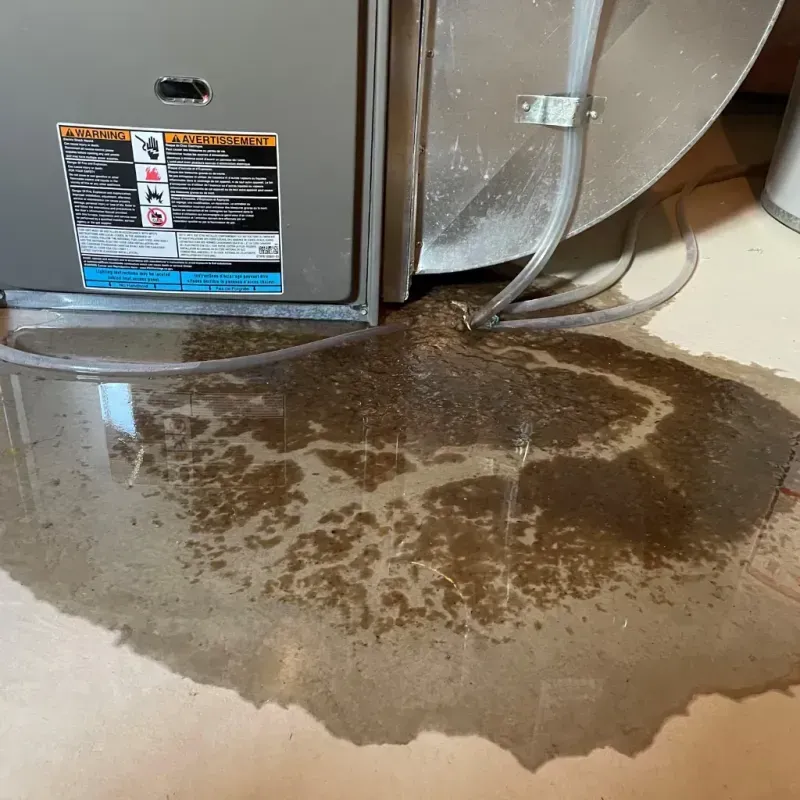 Appliance Leak Cleanup in Roseland, FL